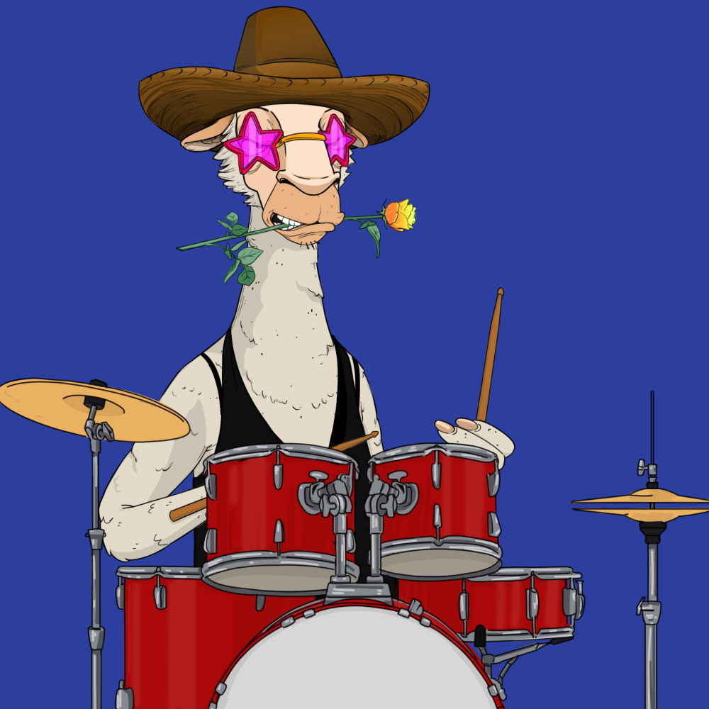 Jammin' Alpacas #3118