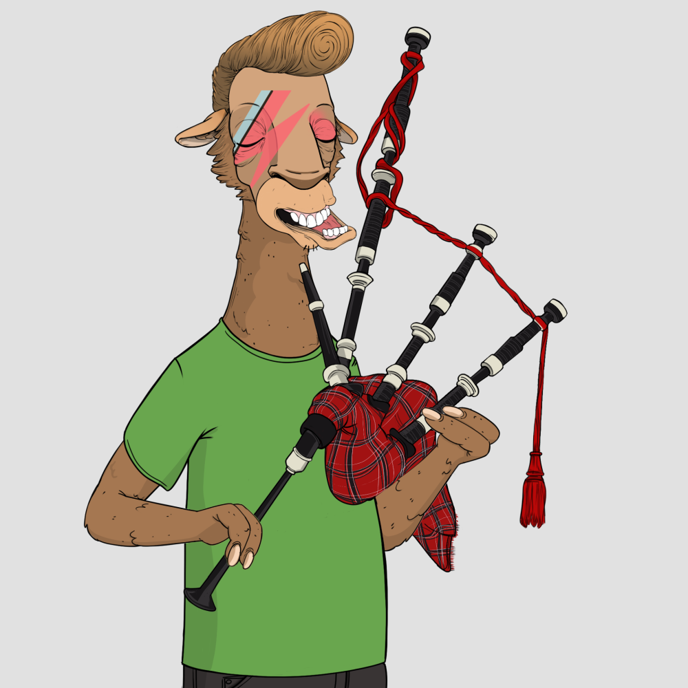 Jammin' Alpacas #3321