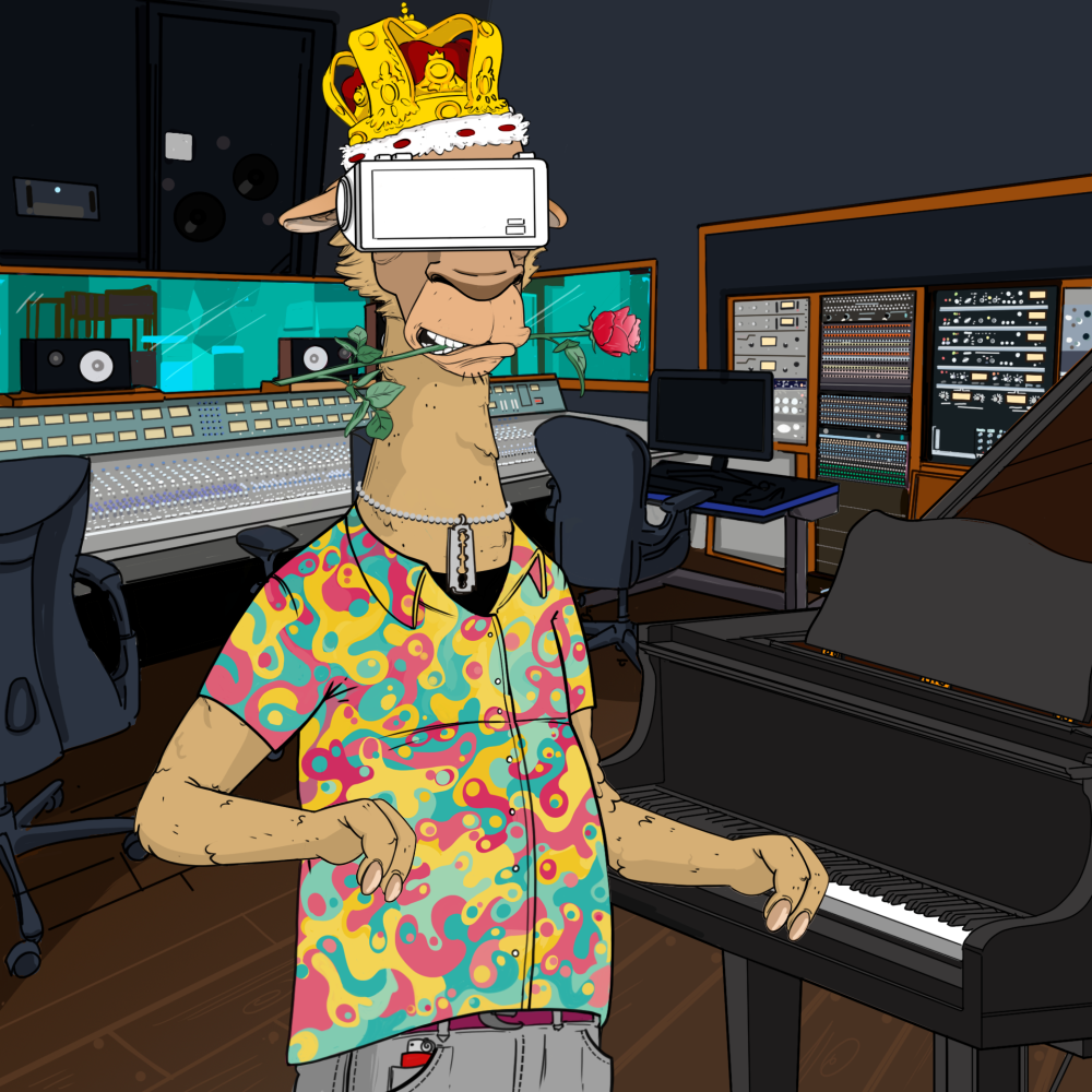 Jammin' Alpacas #3404
