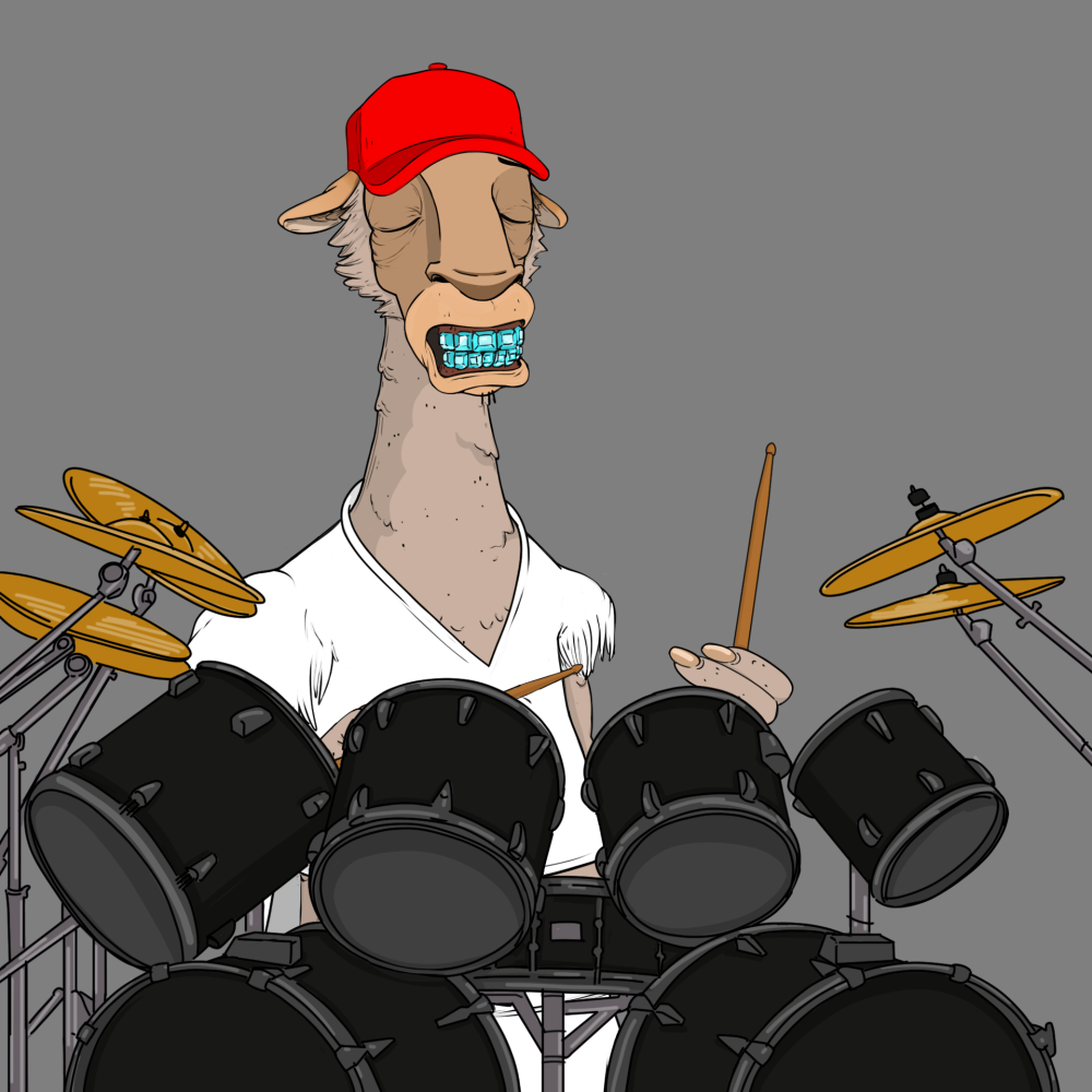 Jammin' Alpacas #3405