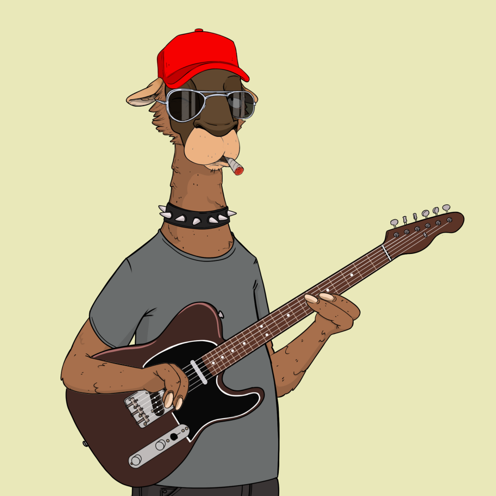 Jammin' Alpacas #3407