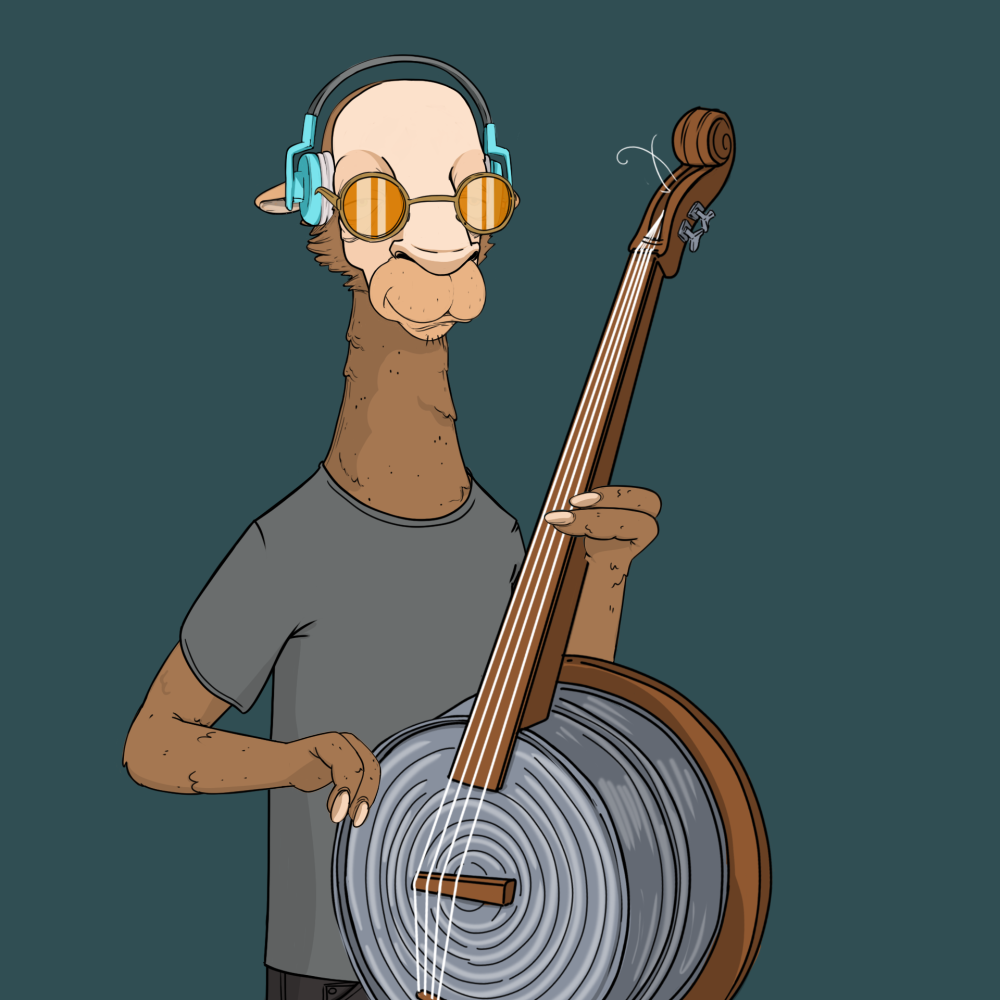 Jammin' Alpacas #3417