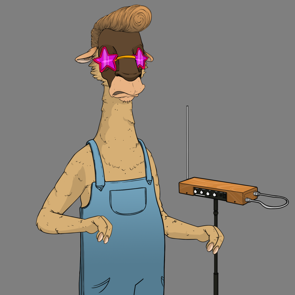 Jammin' Alpacas #3419