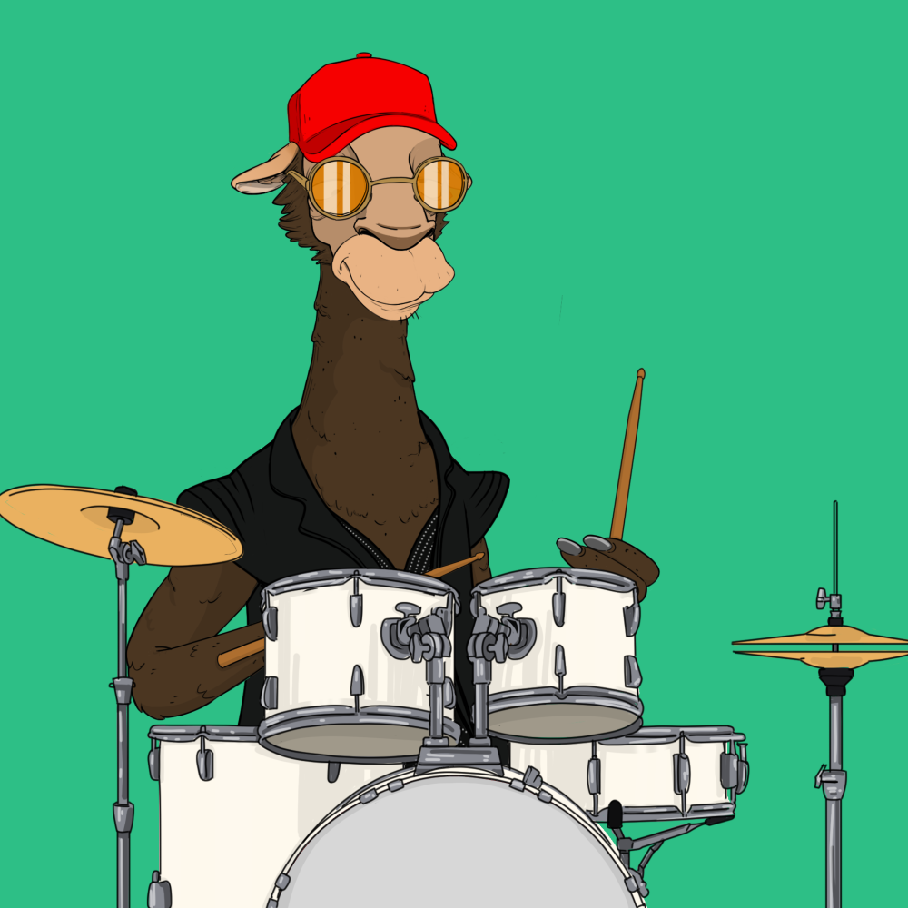 Jammin' Alpacas #3481