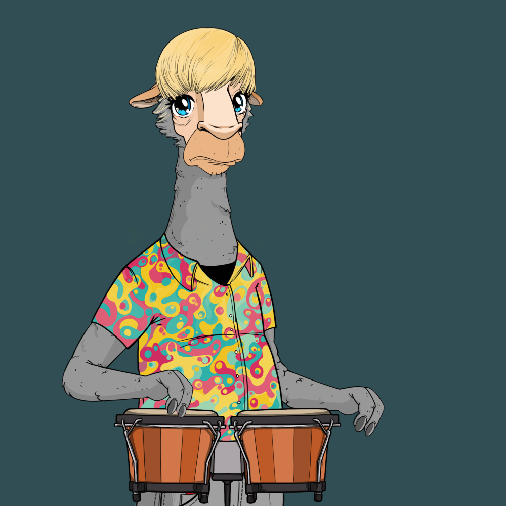 Jammin' Alpacas #3495
