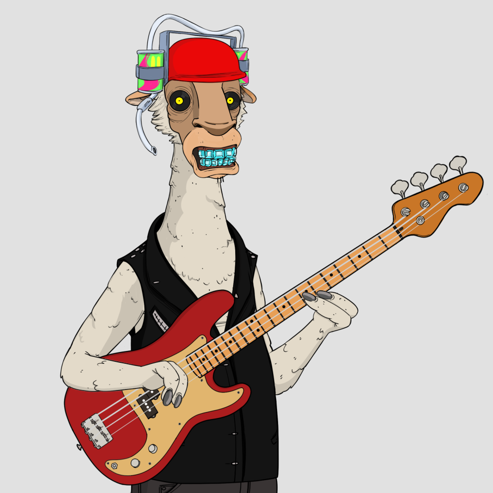 Jammin' Alpacas #3498