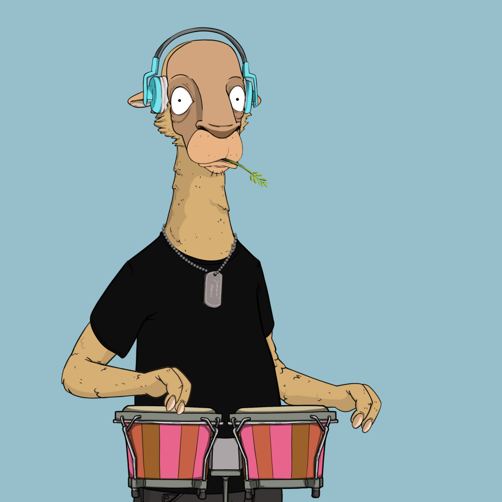 Jammin' Alpacas #3533