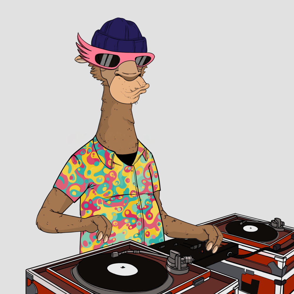 Jammin' Alpacas #3557