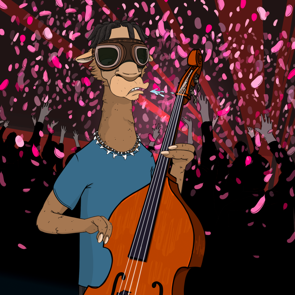 Jammin' Alpacas #3616