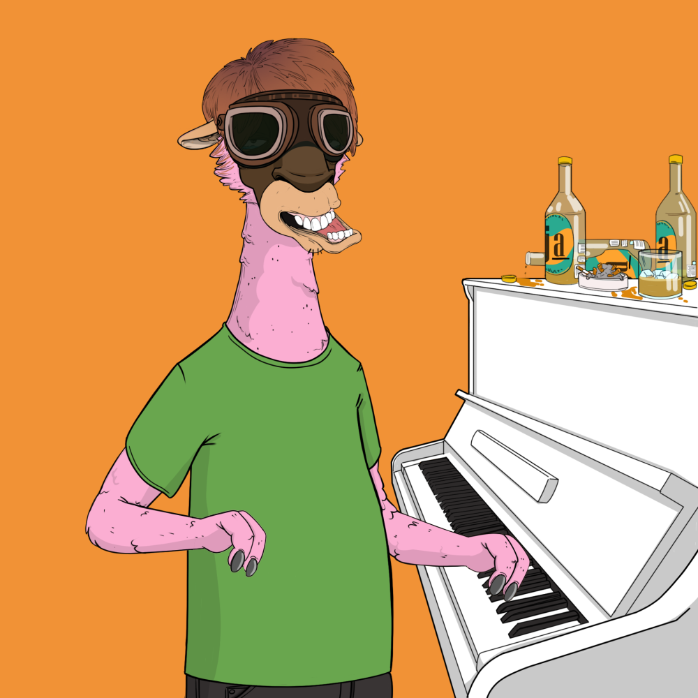 Jammin' Alpacas #3651