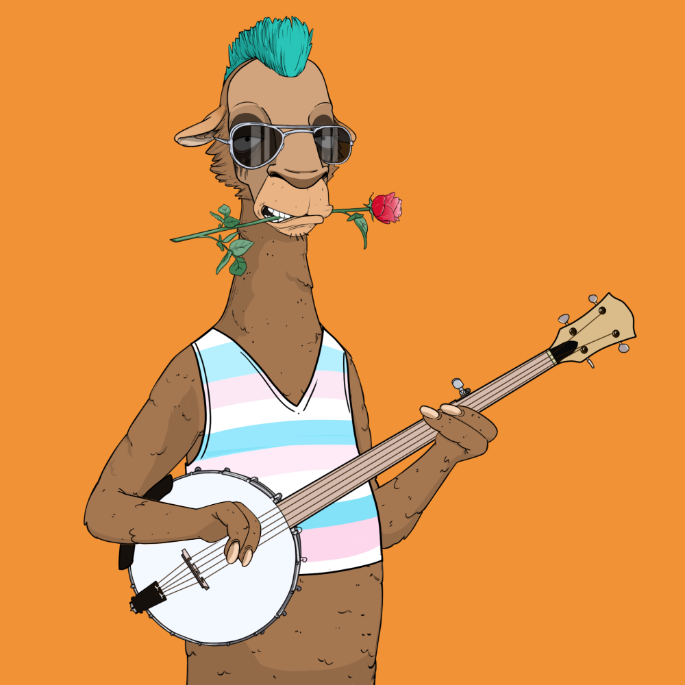 Jammin' Alpacas #3658