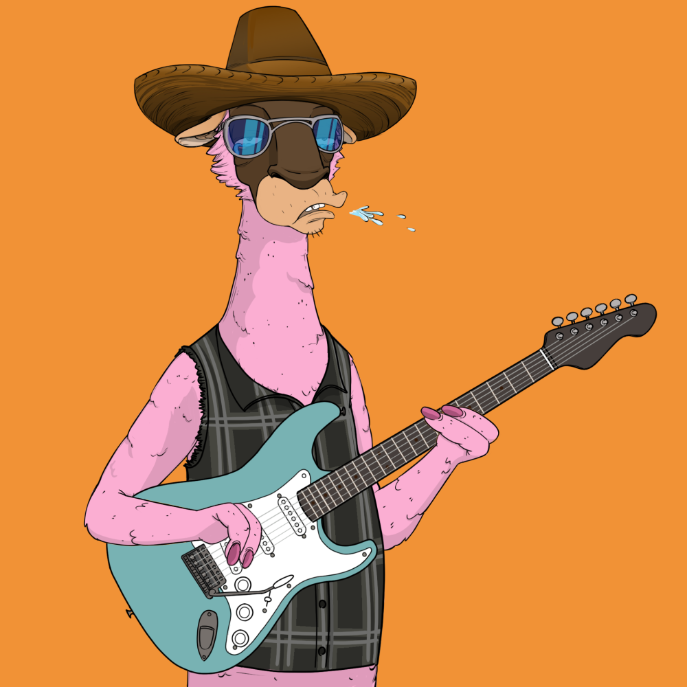 Jammin' Alpacas #3684