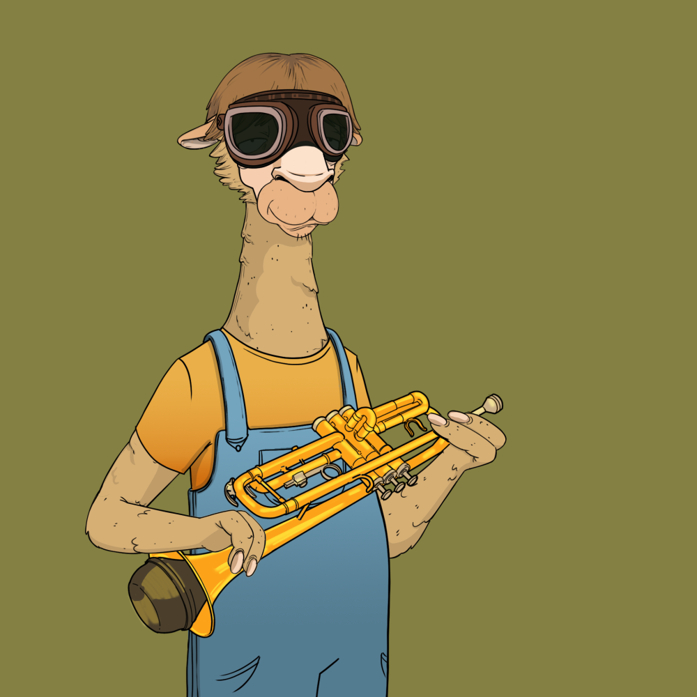 Jammin' Alpacas #3698