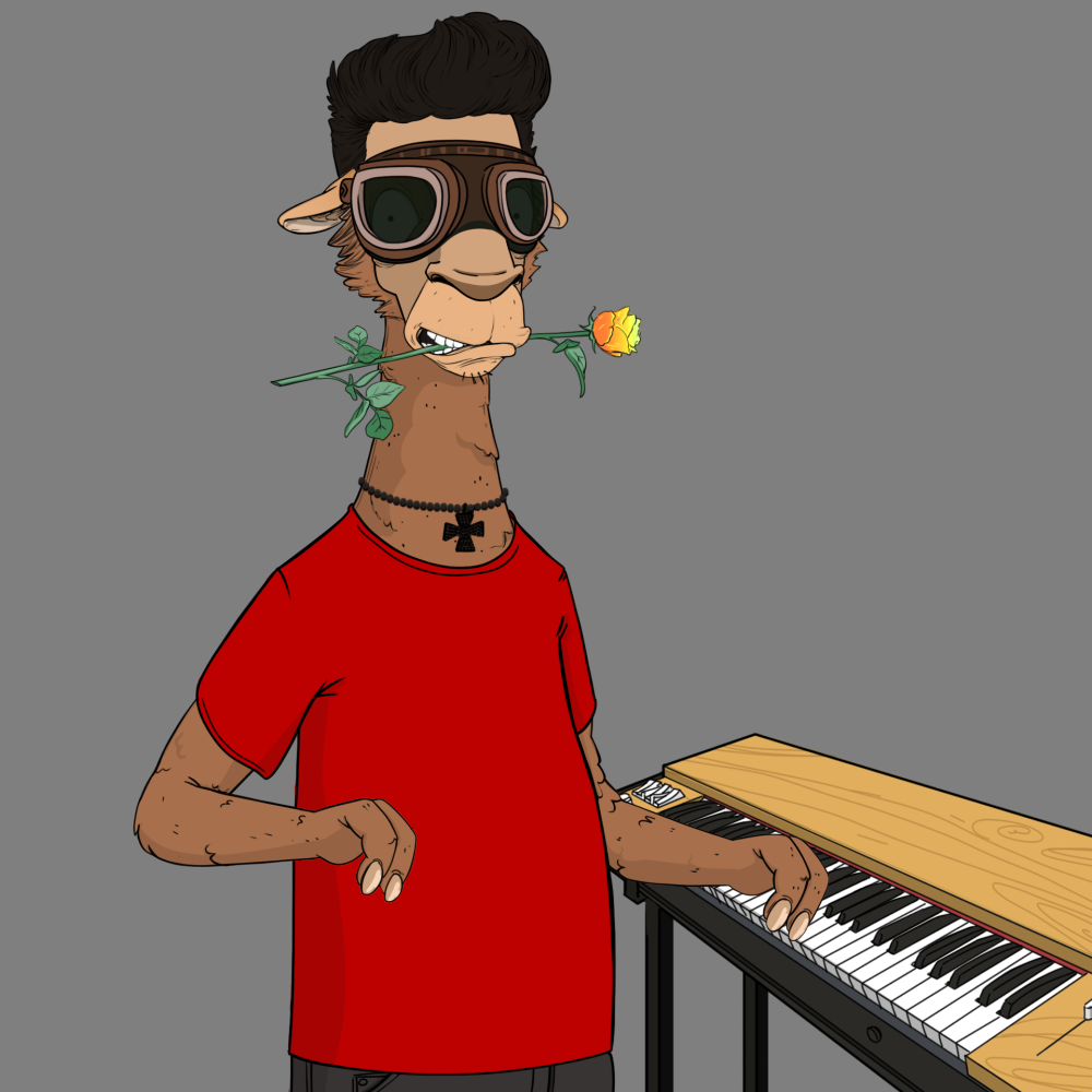 Jammin' Alpacas #3766