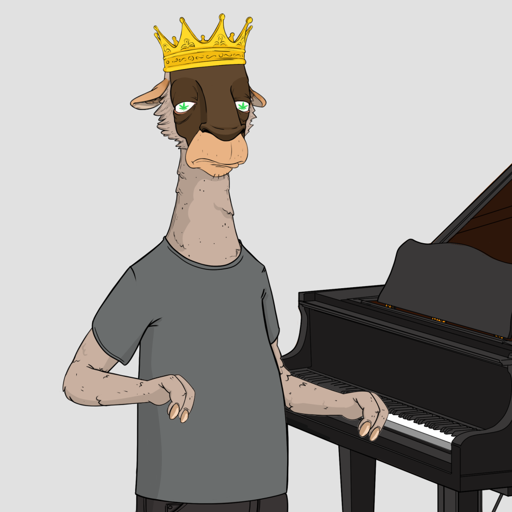 Jammin' Alpacas #3849