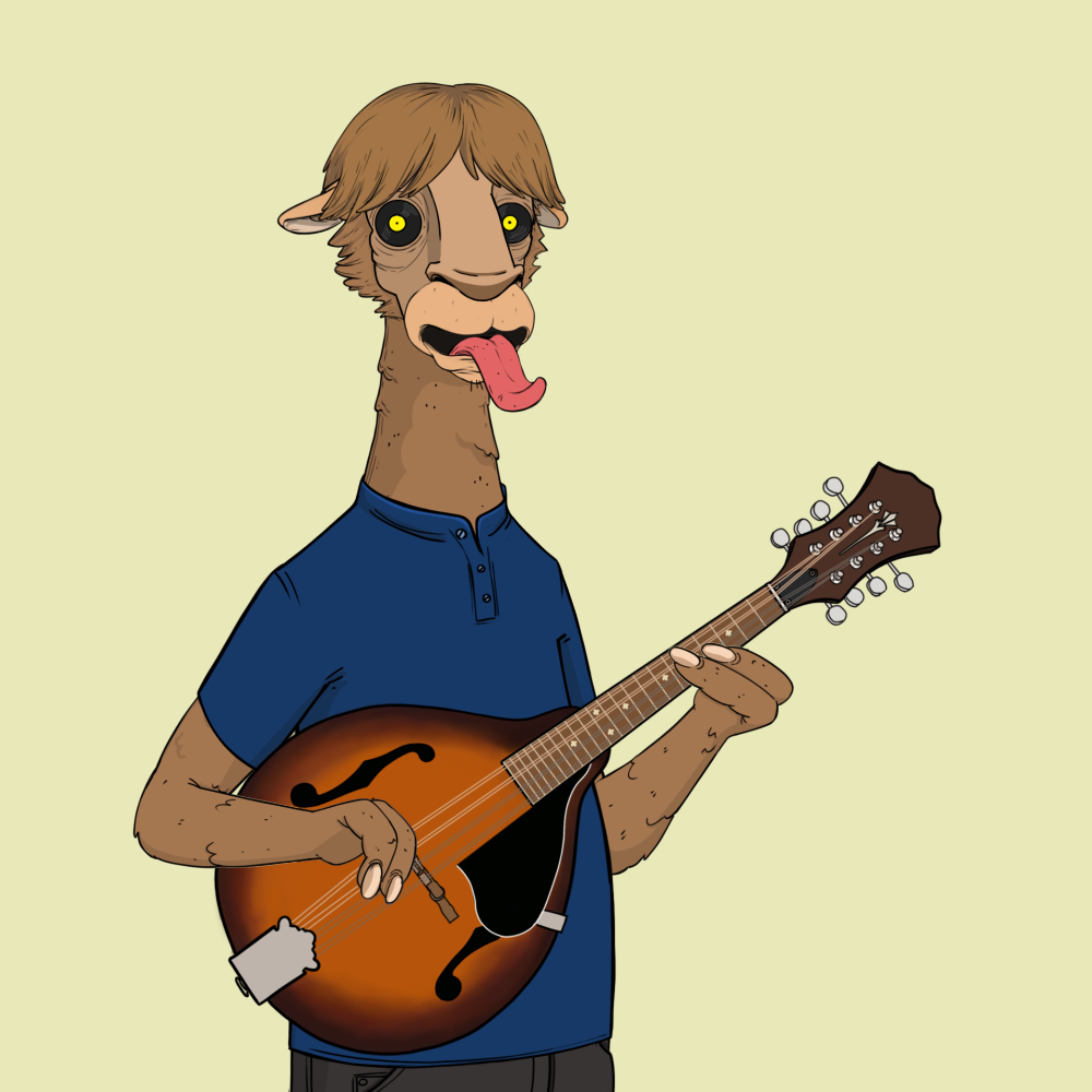 Jammin' Alpacas #3858