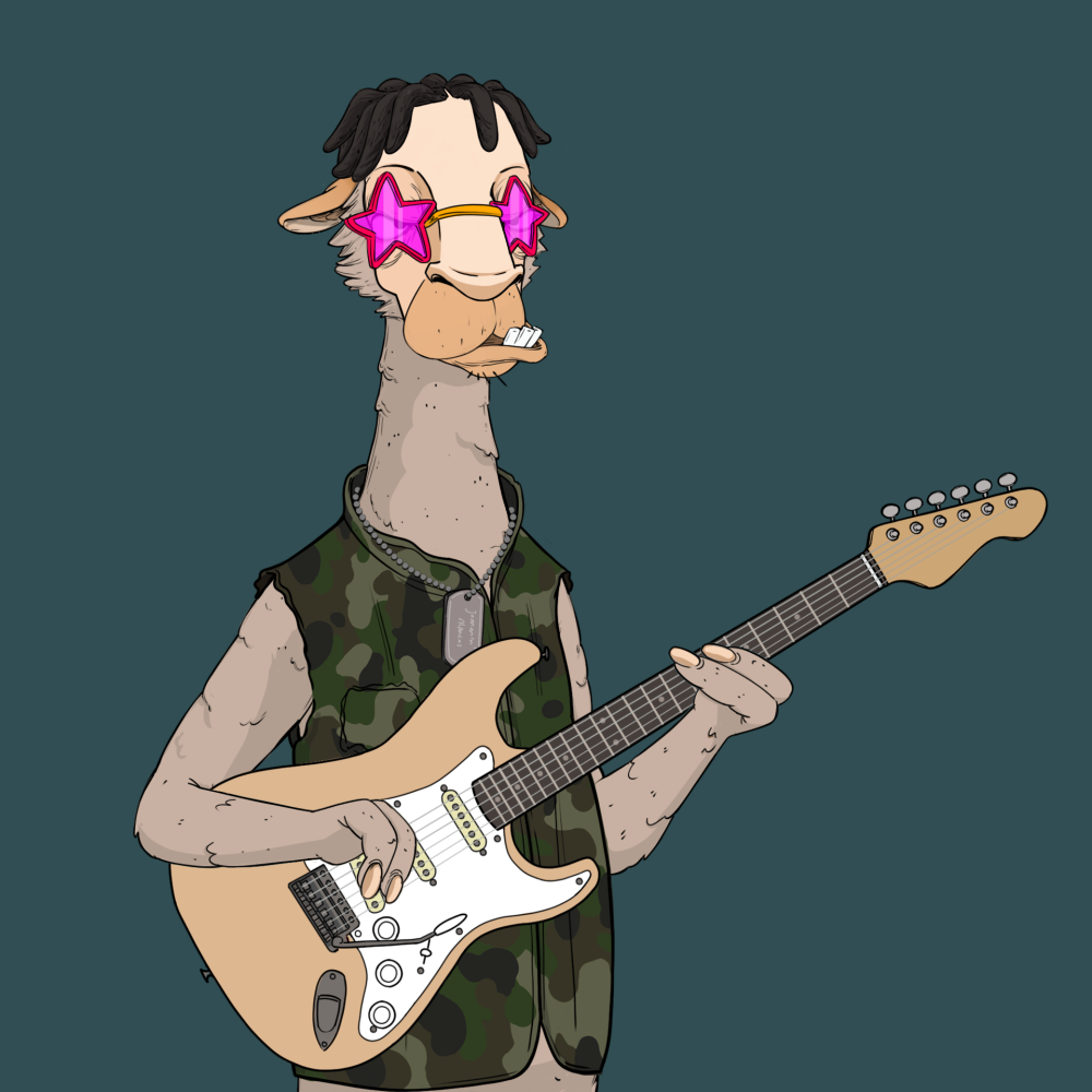 Jammin' Alpacas #3898