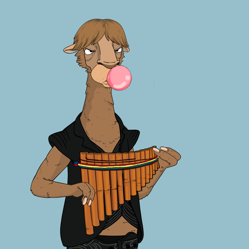 Jammin' Alpacas #3923