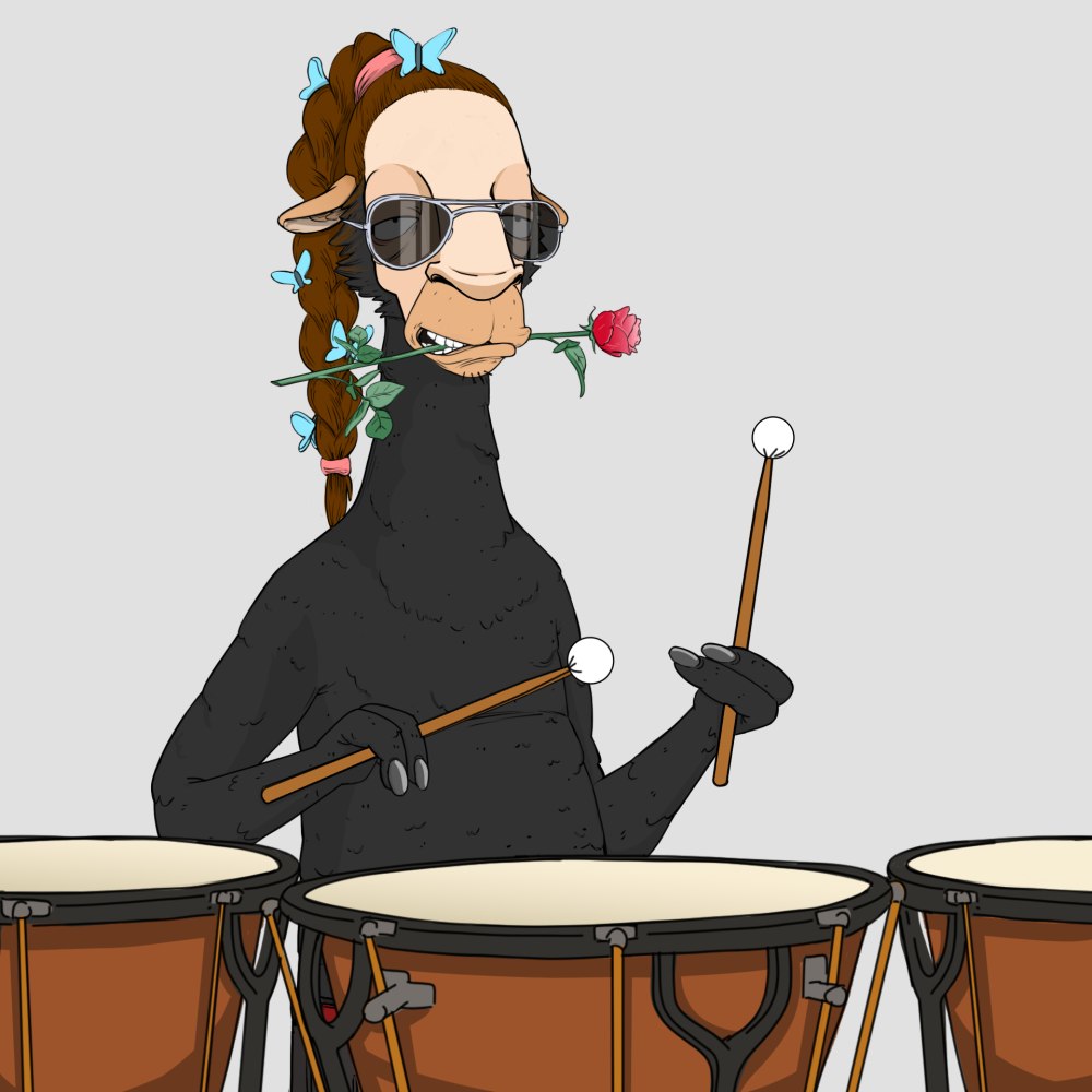 Jammin' Alpacas #3993