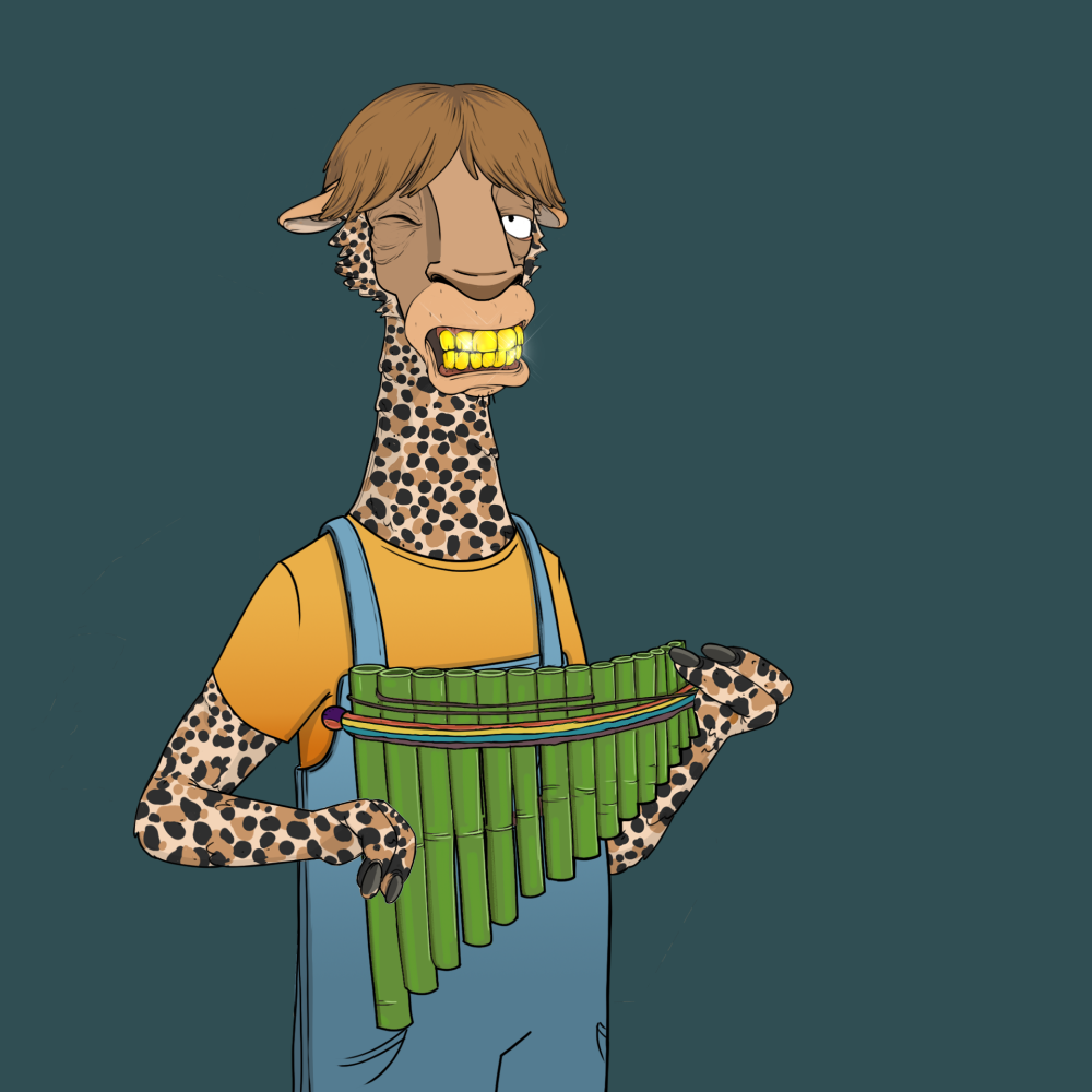Jammin' Alpacas #4069