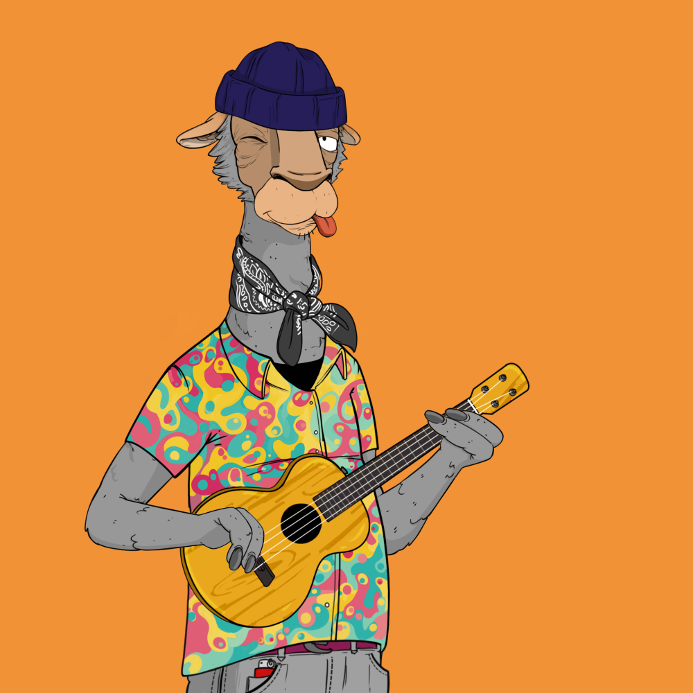 Jammin' Alpacas #4099