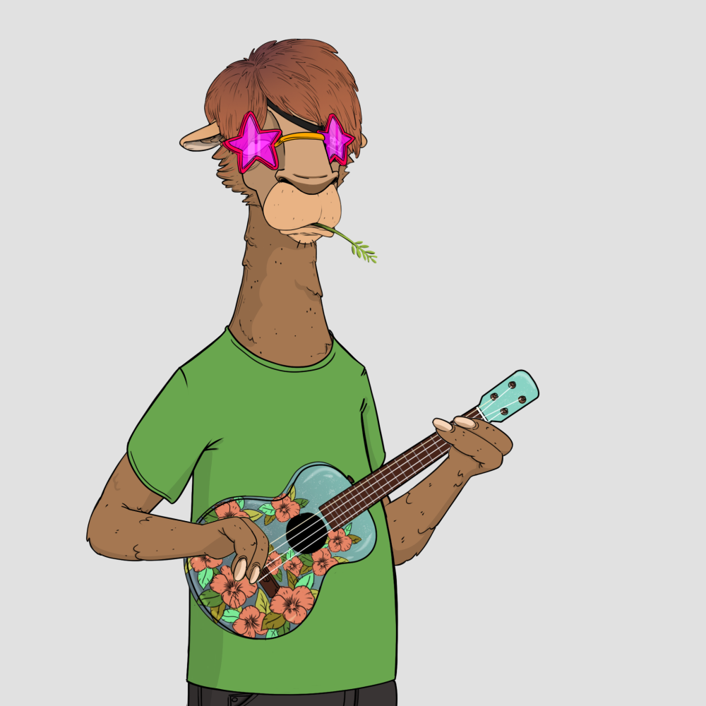 Jammin' Alpacas #4137