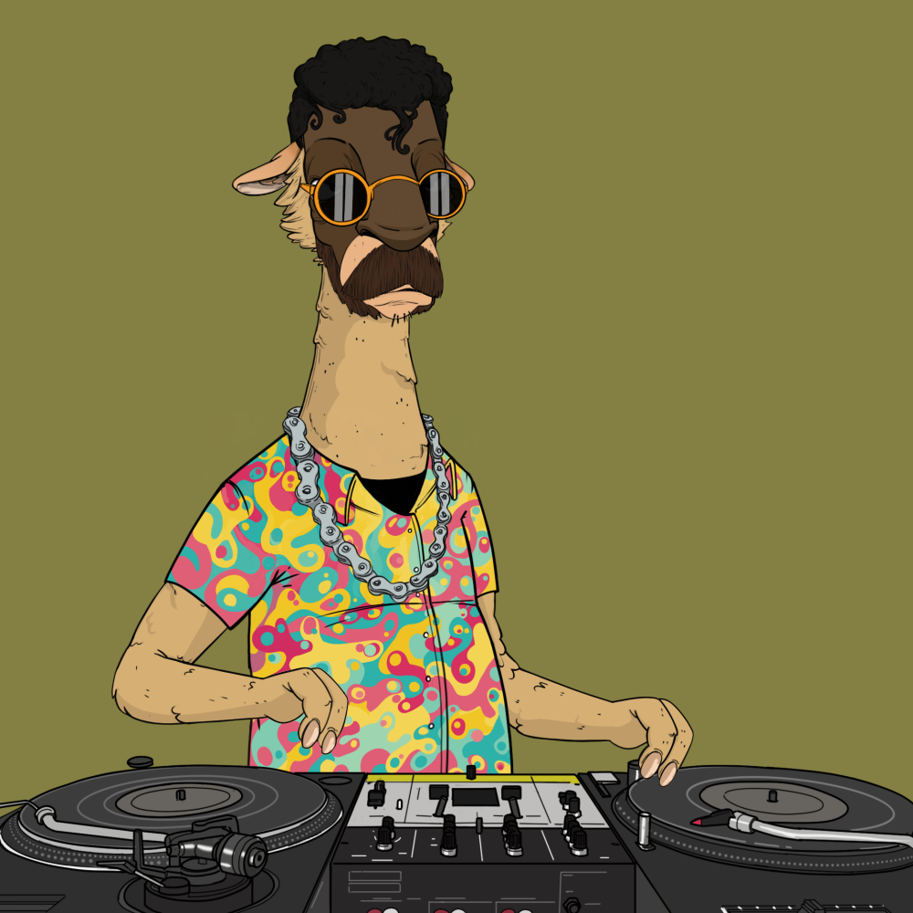 Jammin' Alpacas #4155