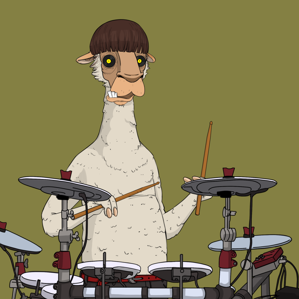Jammin' Alpacas #4160