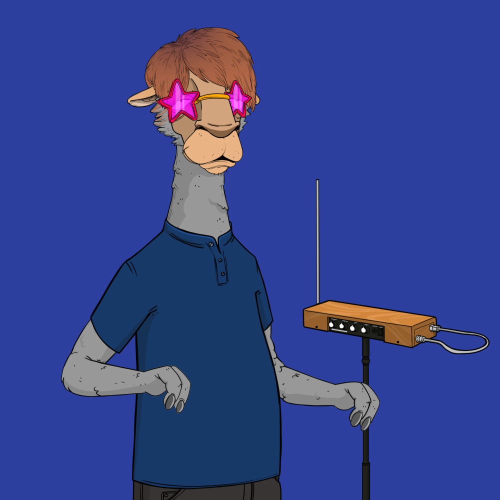 Jammin' Alpacas #4163
