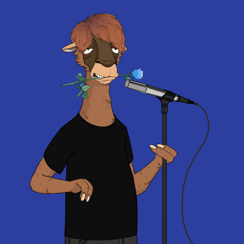 Jammin' Alpacas #4211