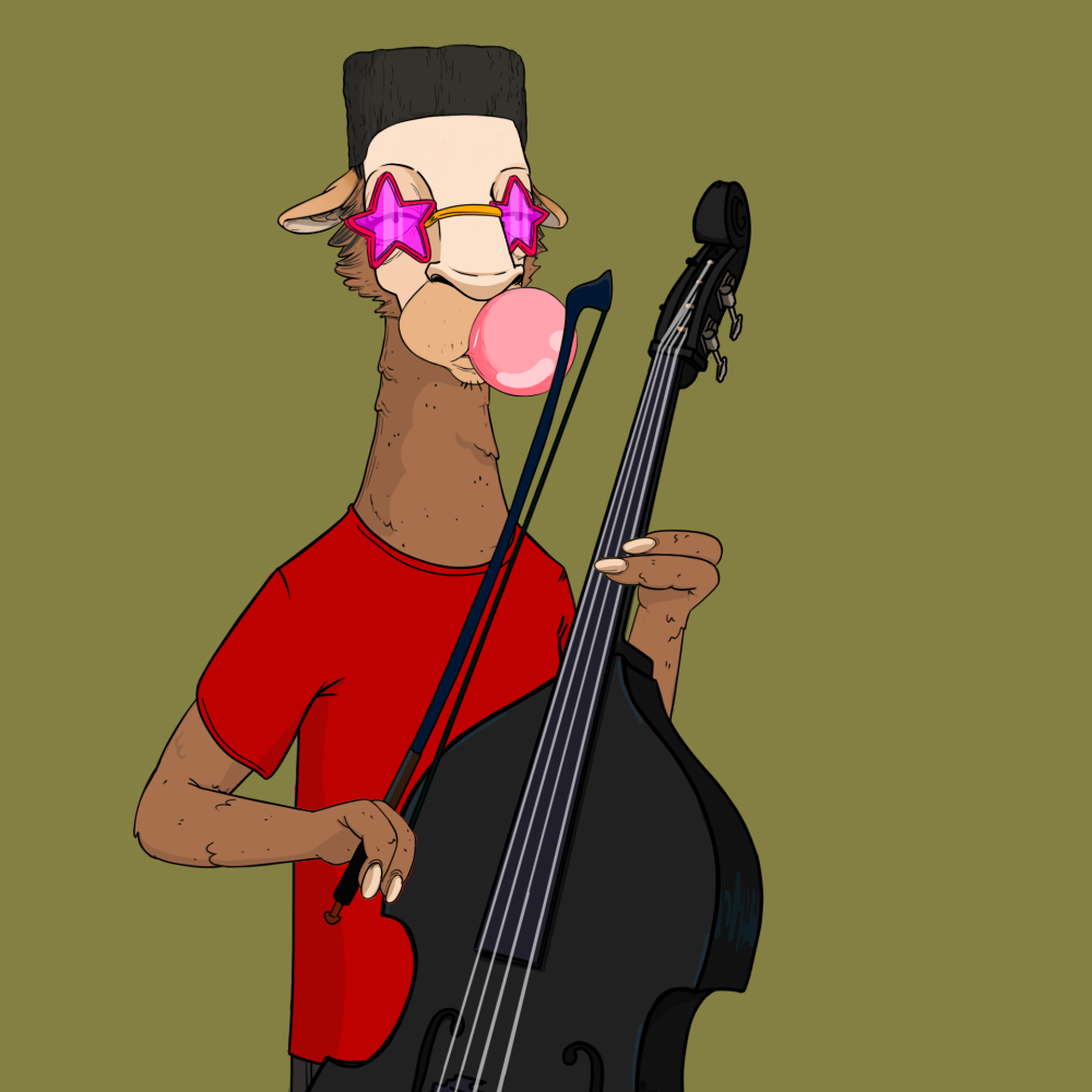 Jammin' Alpacas #4221