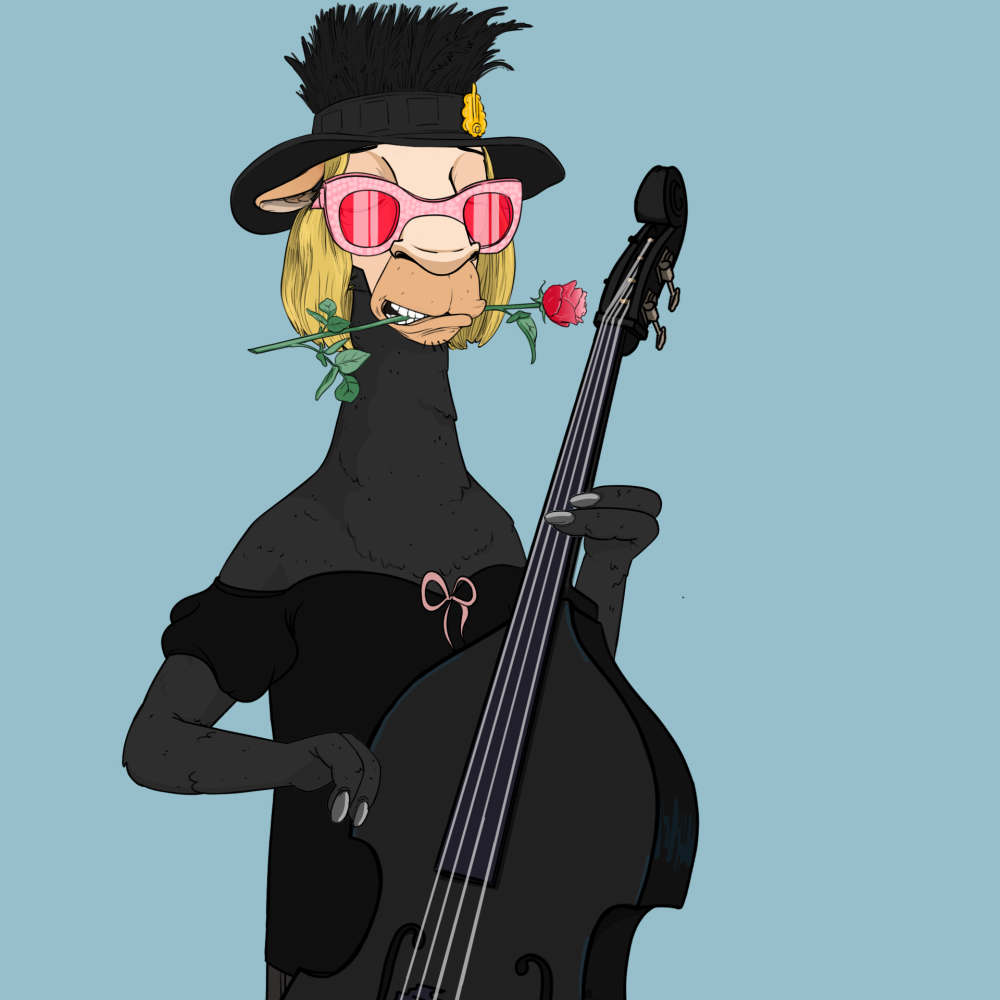 Jammin' Alpacas #4228