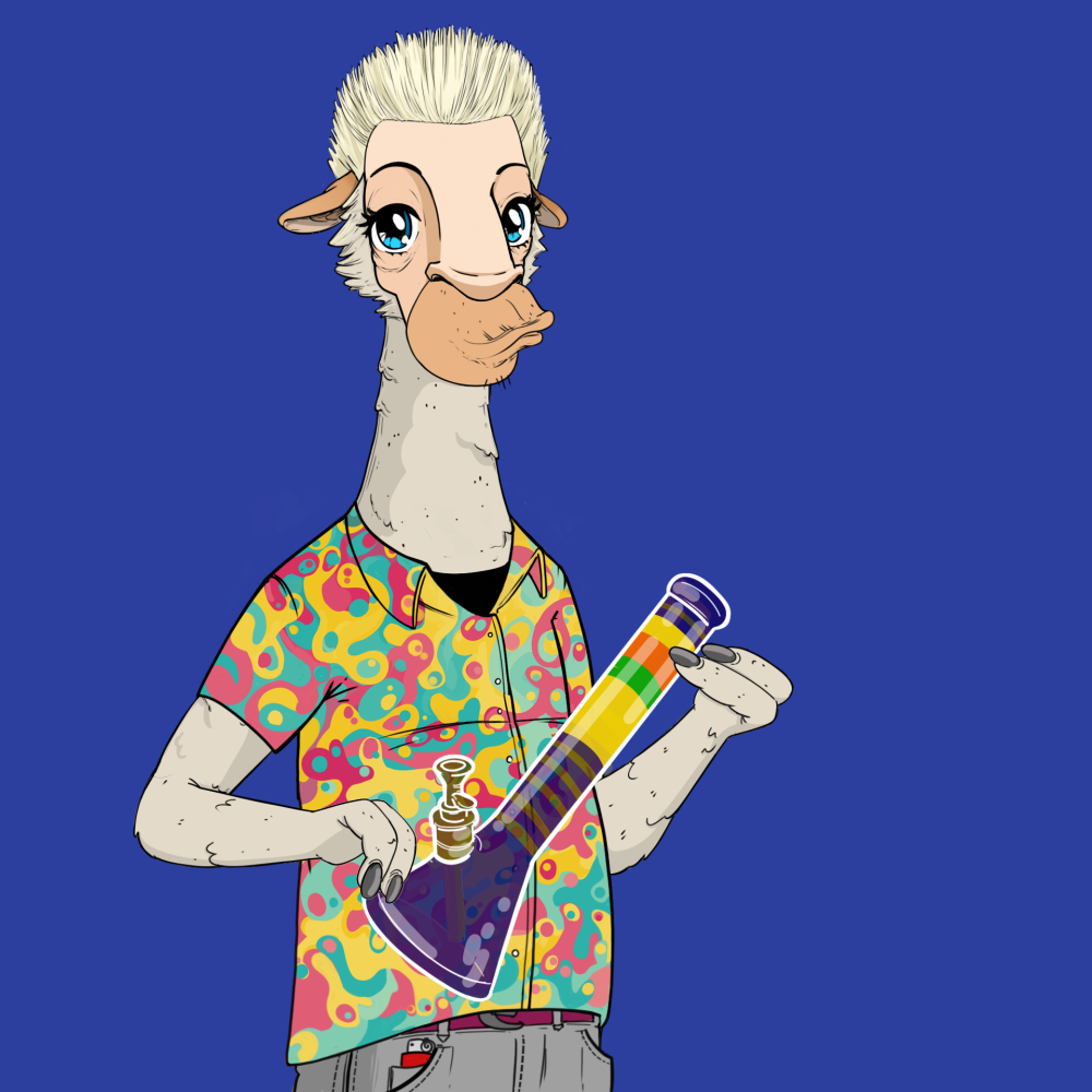Jammin' Alpacas #4262