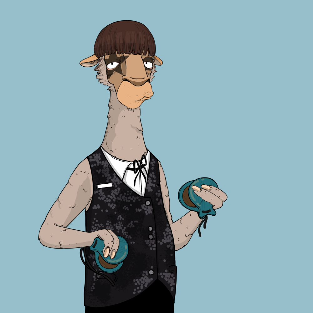 Jammin' Alpacas #4264