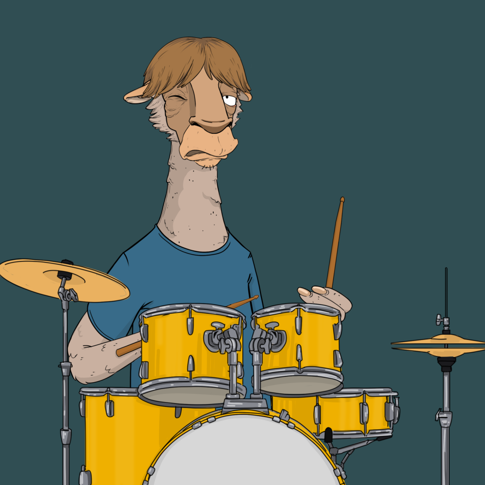 Jammin' Alpacas #4268