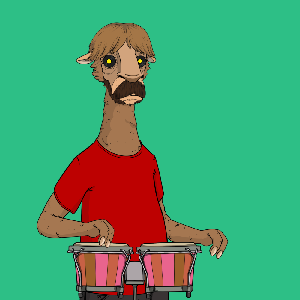 Jammin' Alpacas #4270