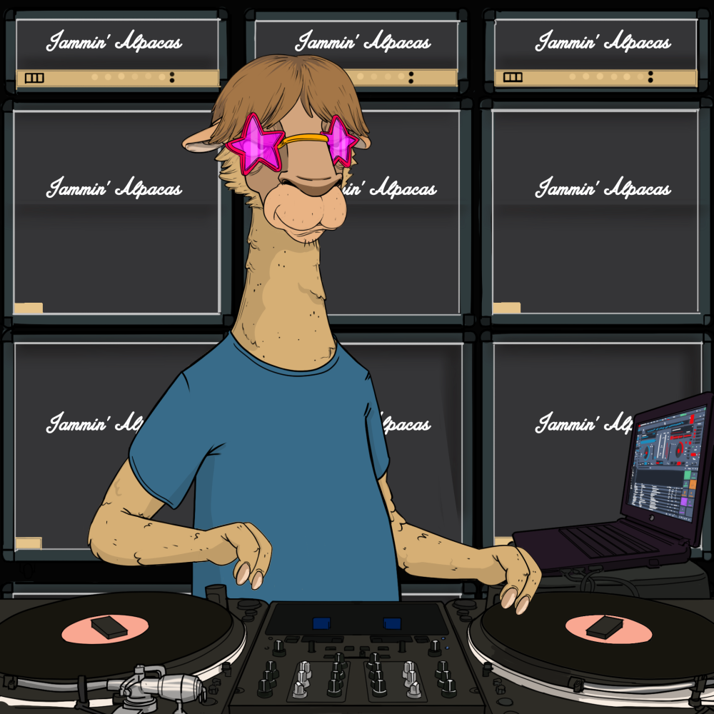 Jammin' Alpacas #4287