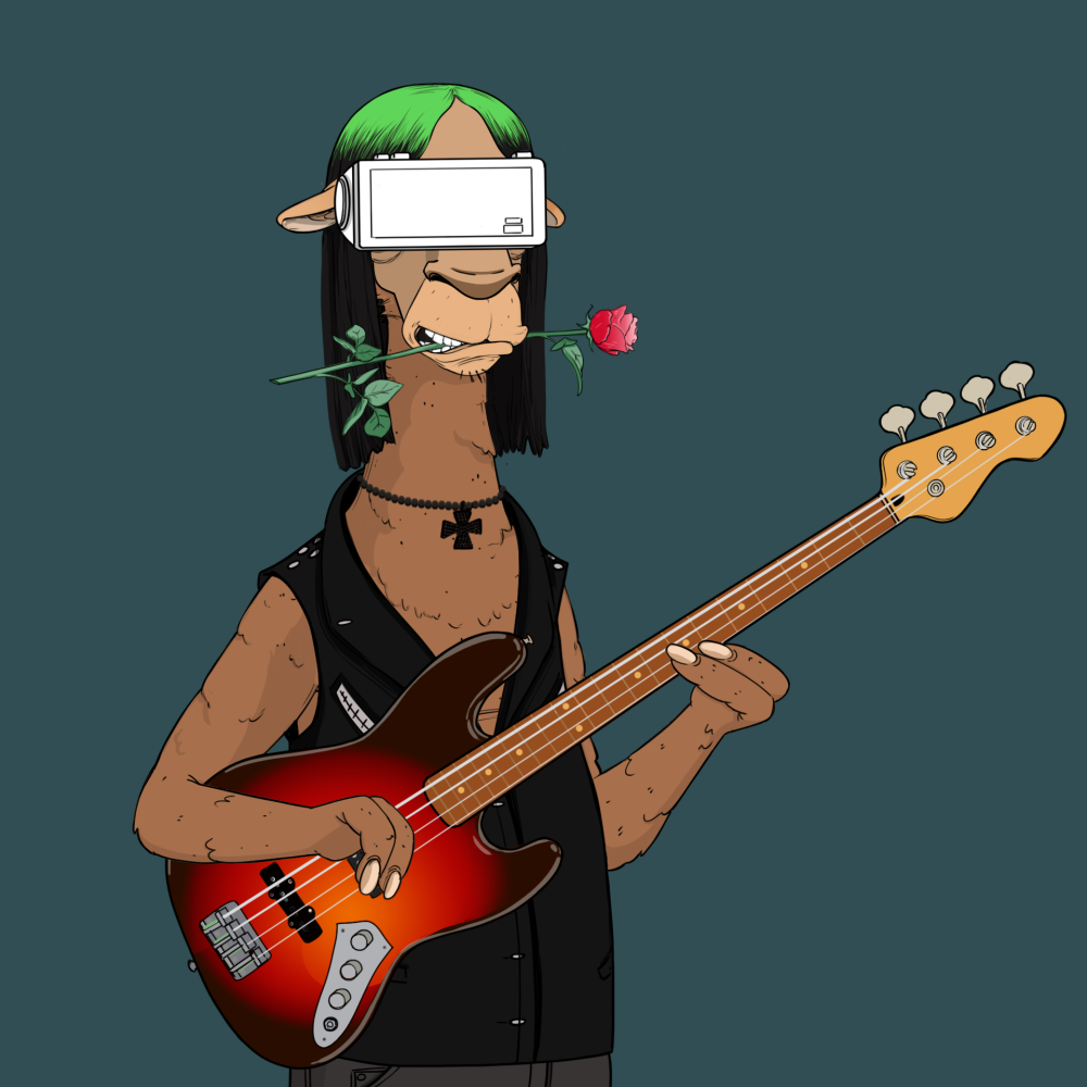 Jammin' Alpacas #4372