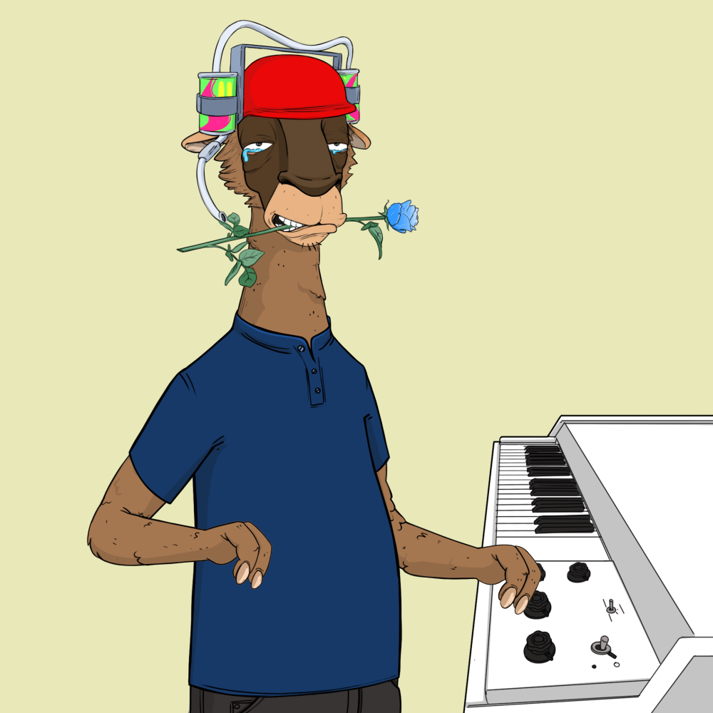 Jammin' Alpacas #4416