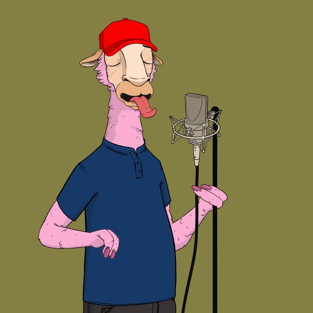 Jammin' Alpacas #4432