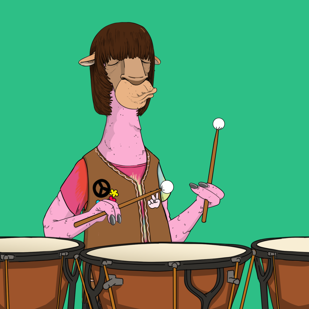 Jammin' Alpacas #4473