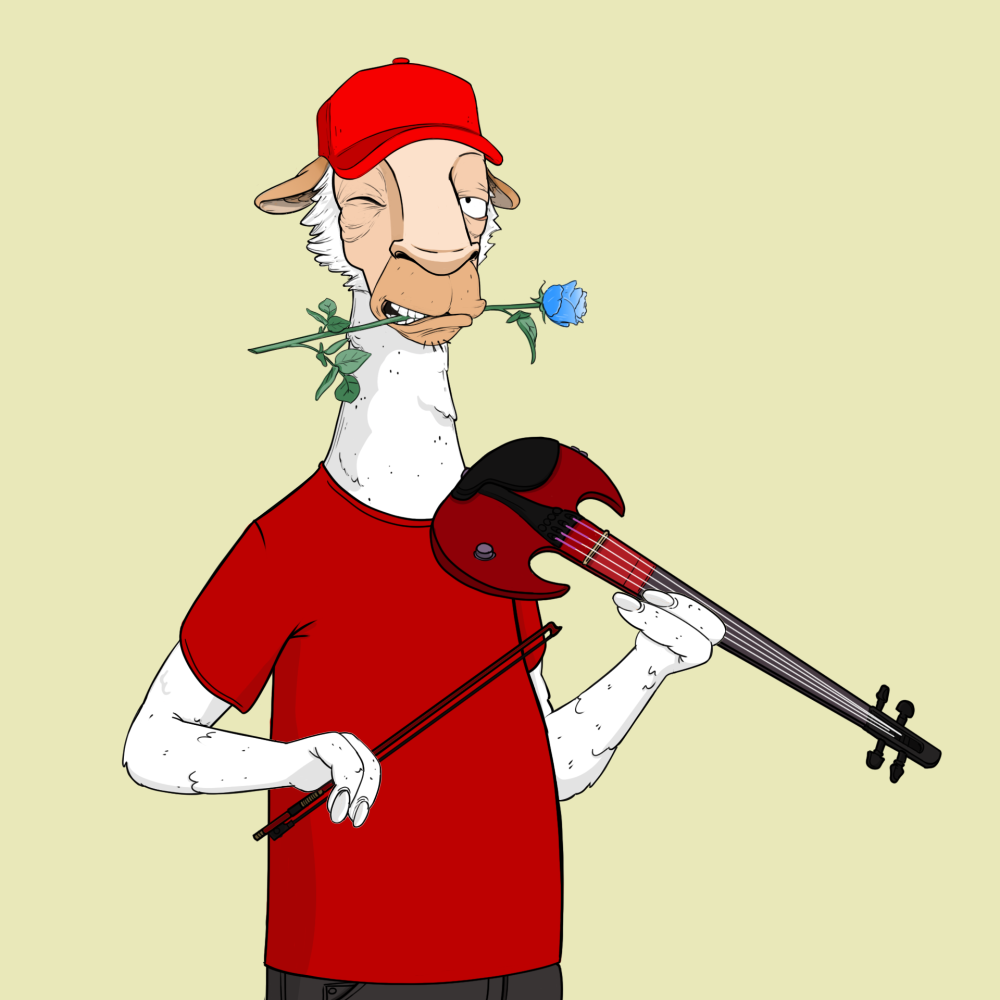 Jammin' Alpacas