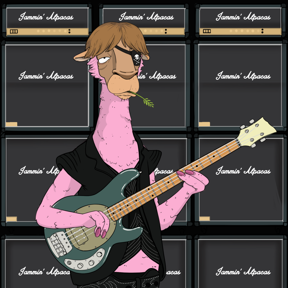 Jammin' Alpacas #4522