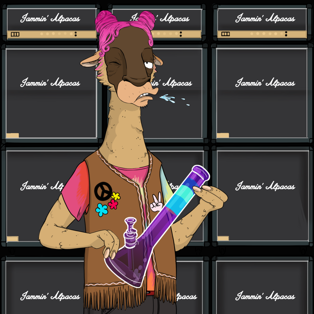 Jammin' Alpacas #4577