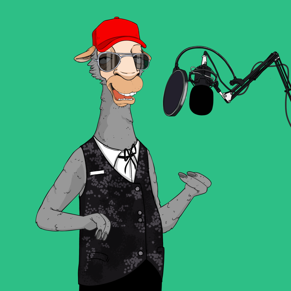 Jammin' Alpacas #4596