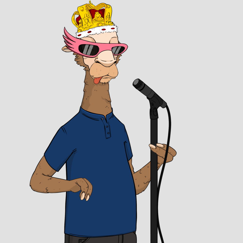 Jammin' Alpacas #4651