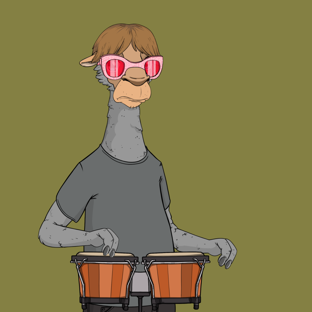 Jammin' Alpacas #4658