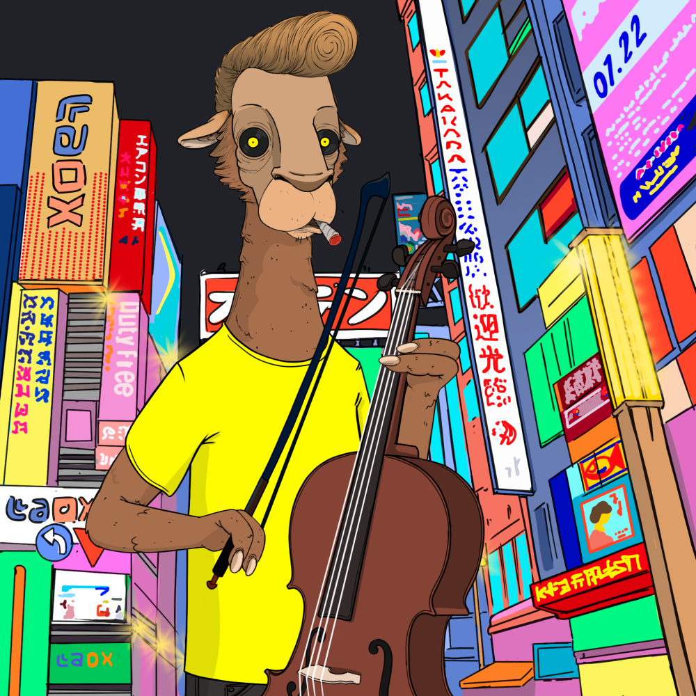 Jammin' Alpacas #4664