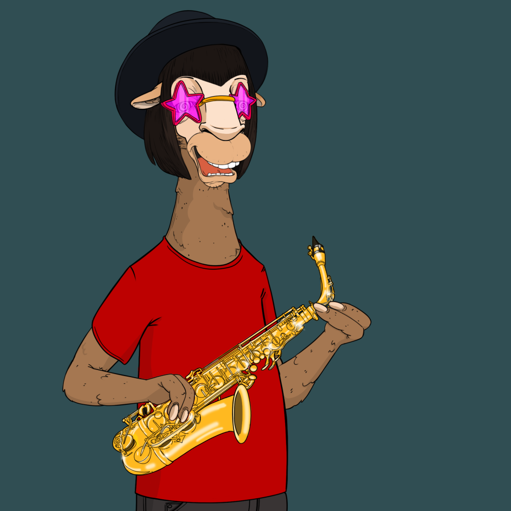 Jammin' Alpacas #4706