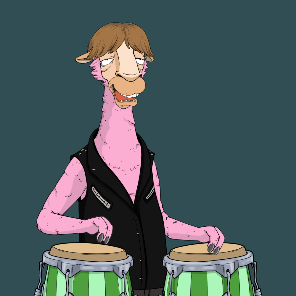 Jammin' Alpacas #4751